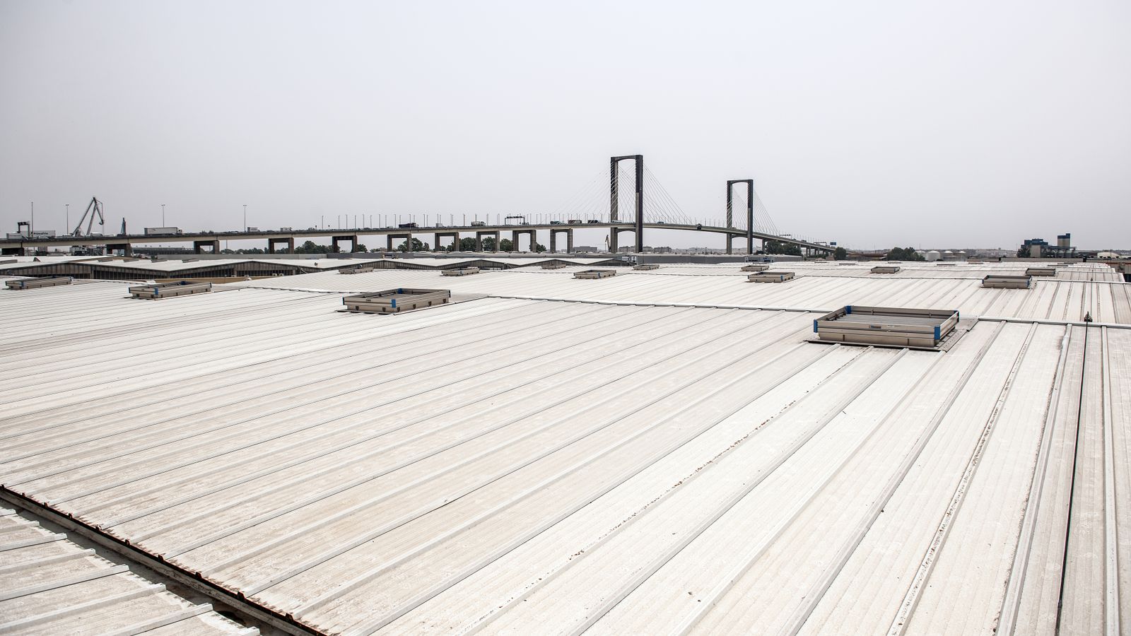 Una vista de la cubierta de las naves de La Zona de Actividades Logísticas del Puerto de Sevilla con el puente del Centenario al fondo.