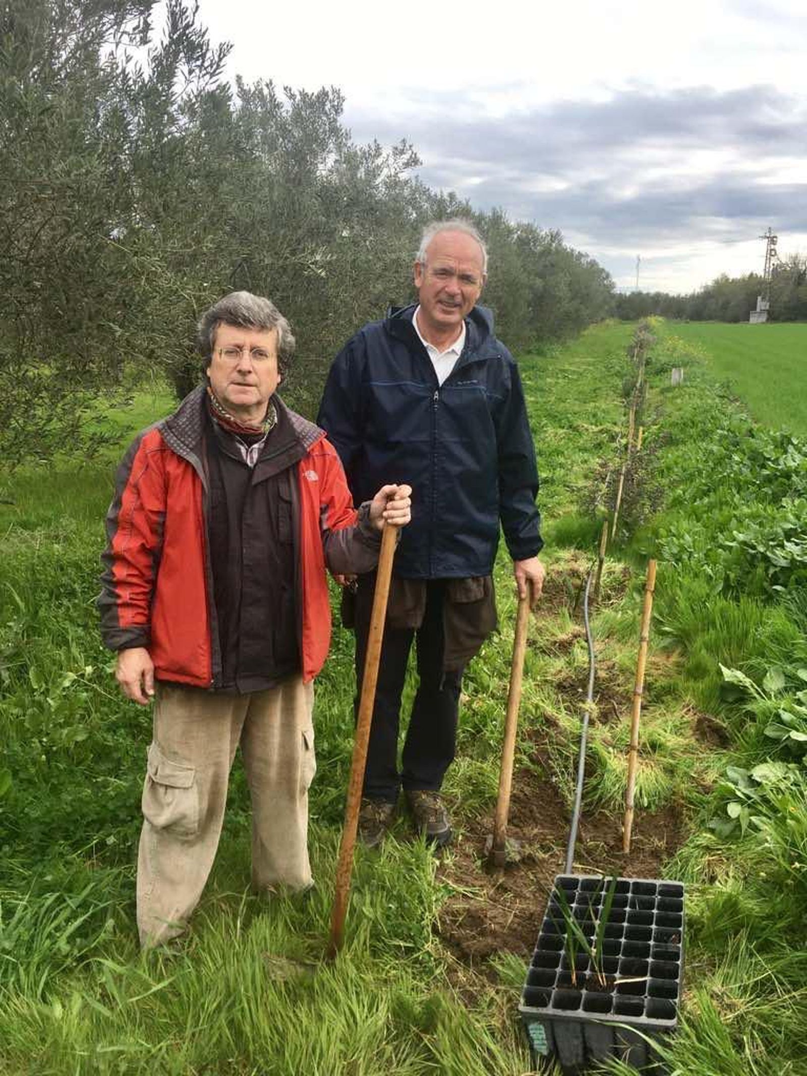 Juan Hurtado, productor de aceite, en su olivar junto al histórico líder jornalero y ecologista Paco Casero.