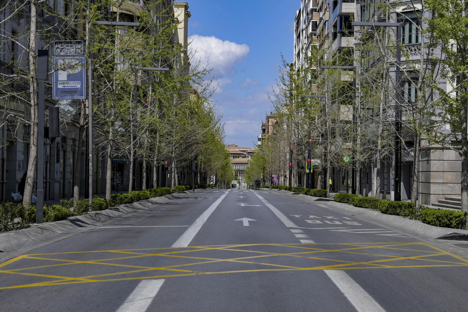 Granada vacía: El estado de alarma y el confinamiento estricto dejaron estampas para la historia