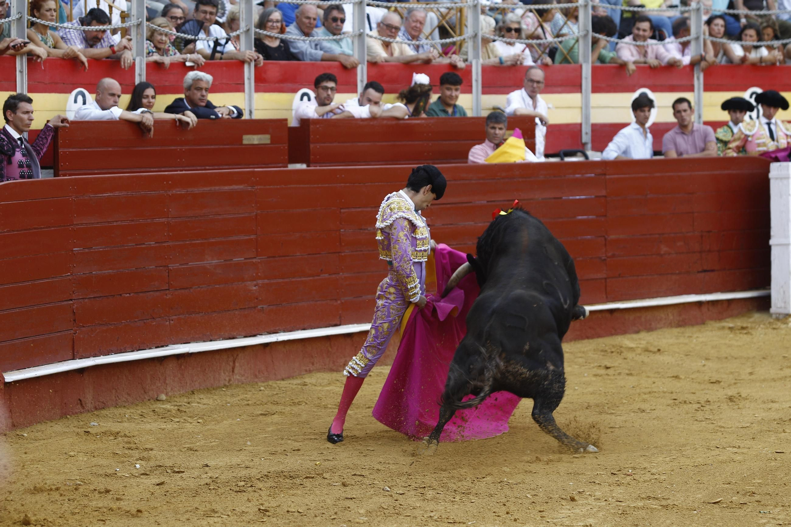 Imágenes de la novillada de la Feria de Almería 2025