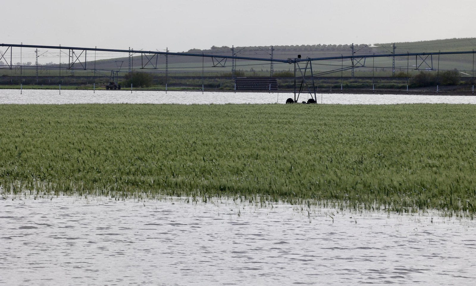 El campo en Lebrija inundado tras las lluvias