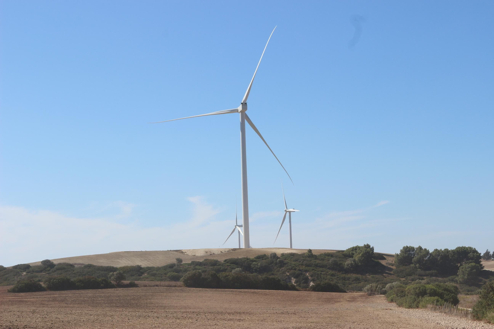 Parque Eólico El Marquesado, en Puerto Real