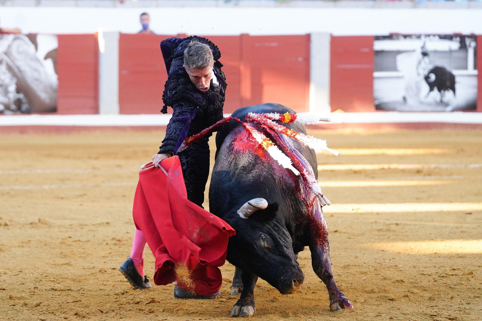 Escribano da un pase con la muleta a uno de los toros de su lote.