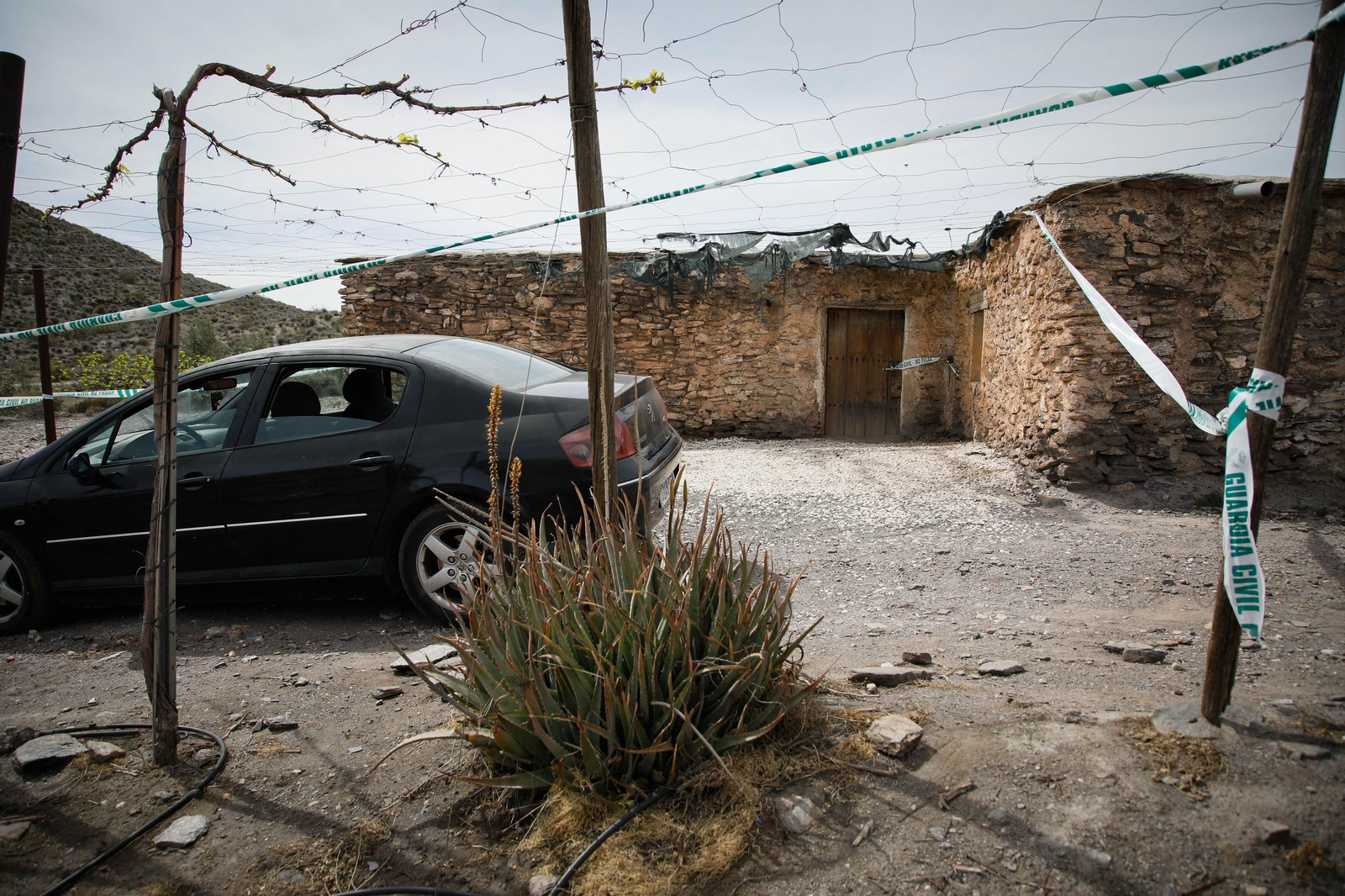 Las imágenes del parricidio de Las Alcubillas, en Alboloduy