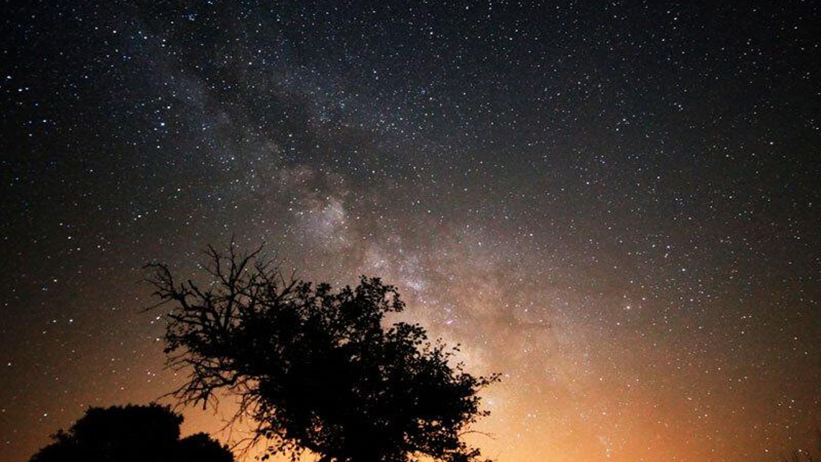 Noche de Estrellas | Los Molinos Noche de Estrellas | Los Molinos