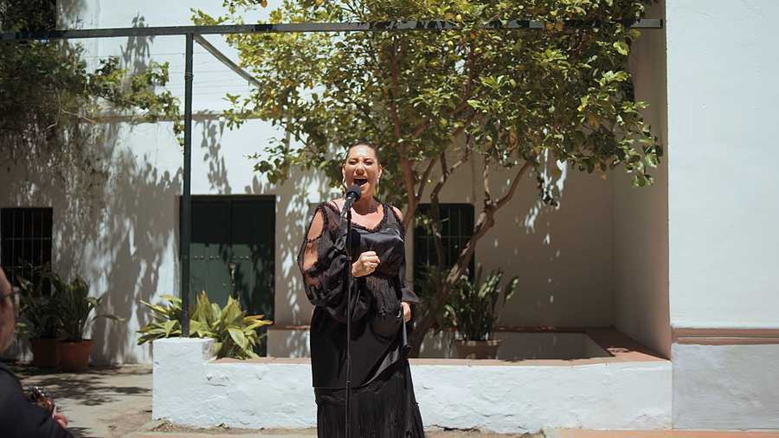 Marina Heredia durante su actuación en 'Caminos del Flamenco