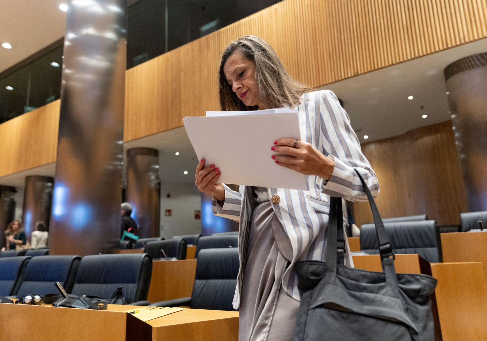 La delegada del Gobierno contra la Violencia de Género, Carmen Martínez Perza, en el Congreso.