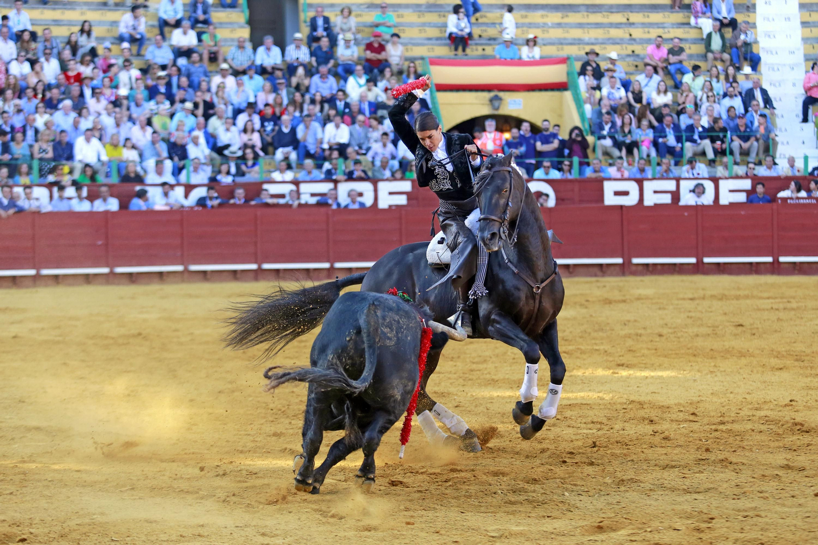Corrida de Rejones en la plaza de Toros de Jerez