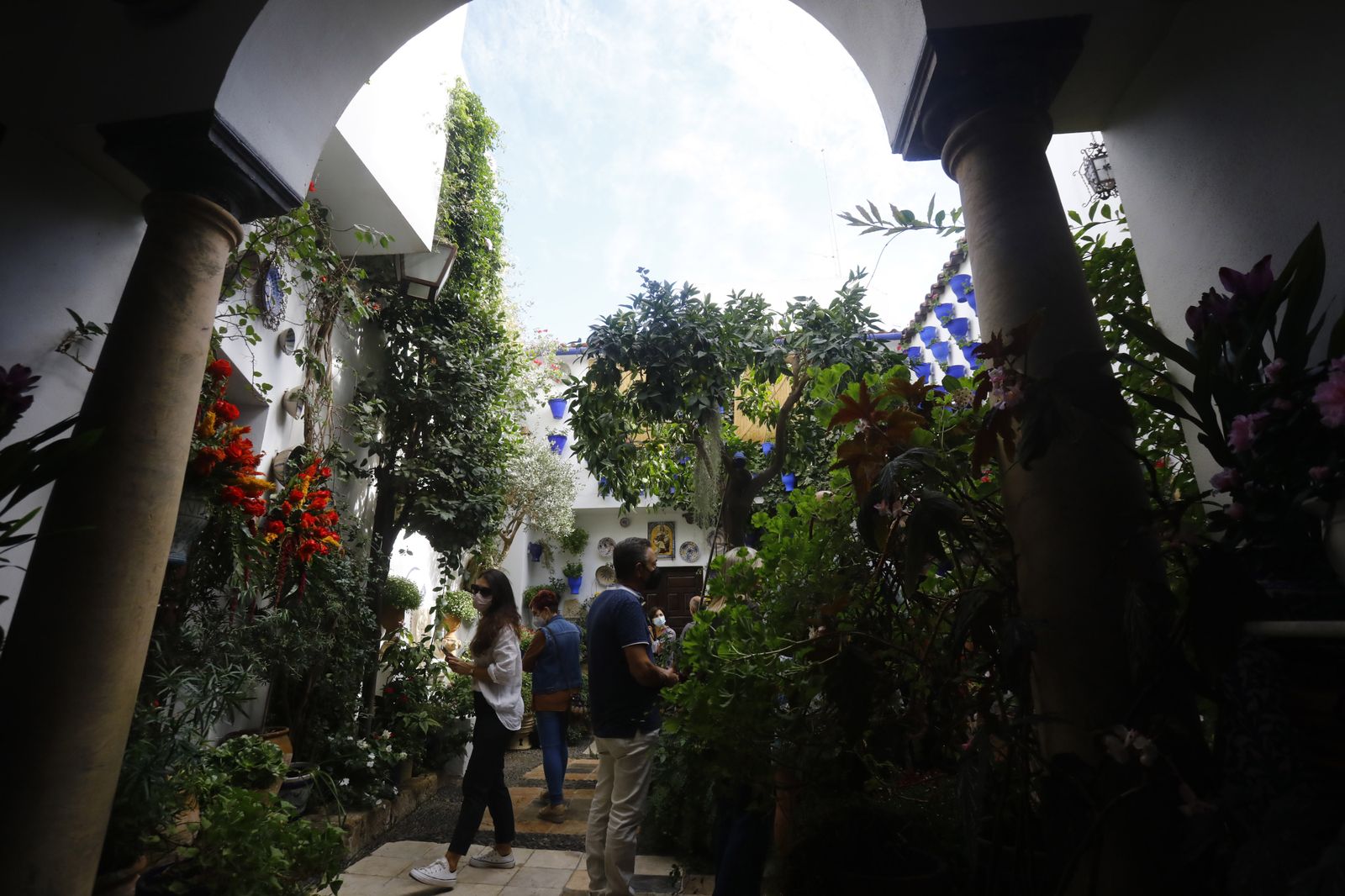 Un recorrido en fotografías por los Patios de Córdoba un domingo de otoño