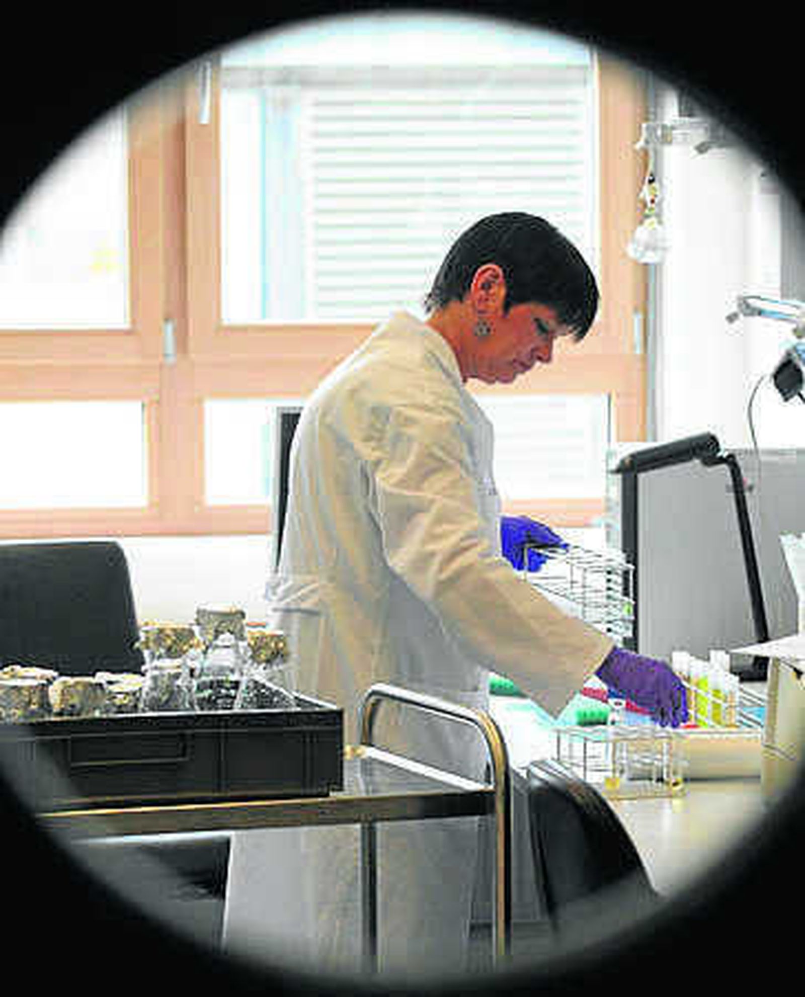 El virus del herpes genital humano evoluciona más rápido que el labial