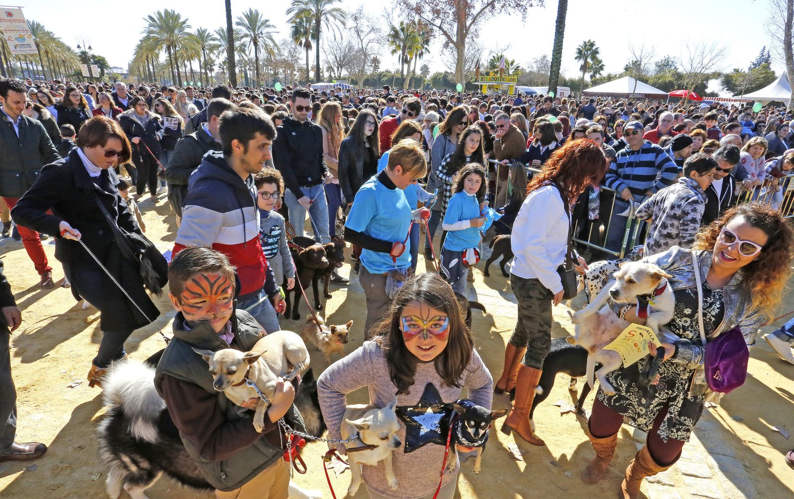 Las imágenes de la fiesta de San Antón
