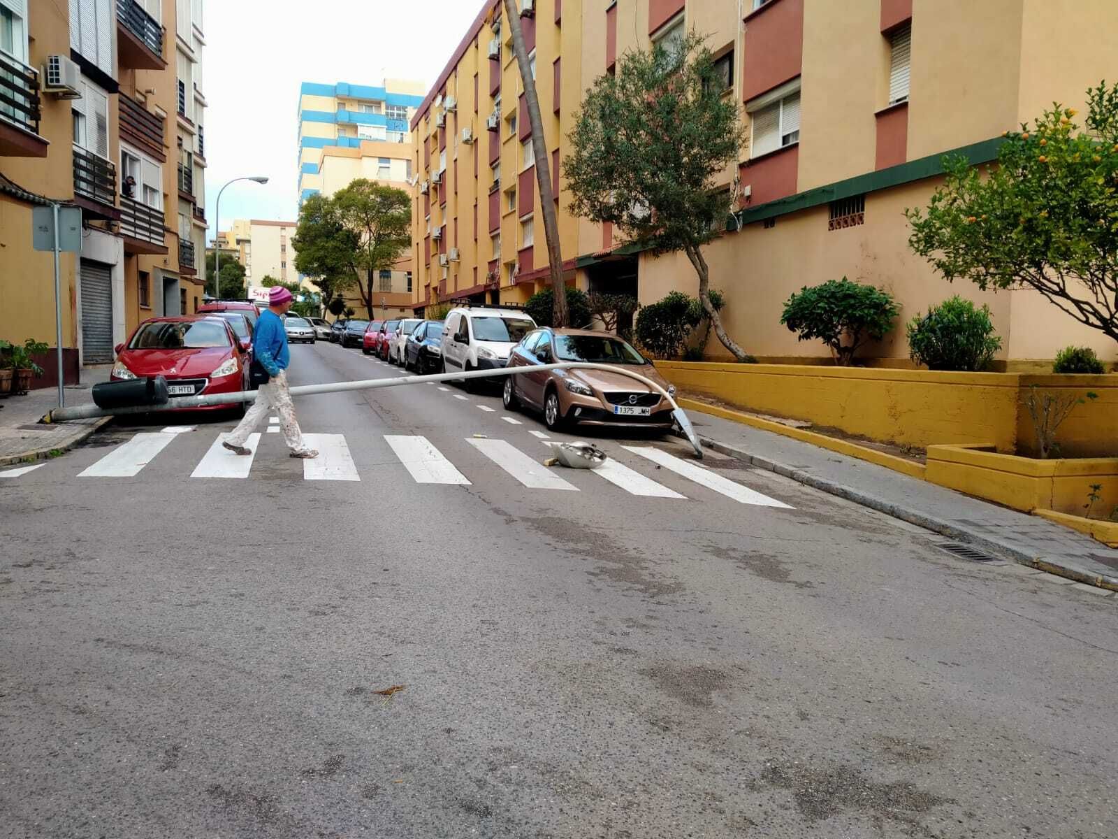 La farola caída sobre un coche.
