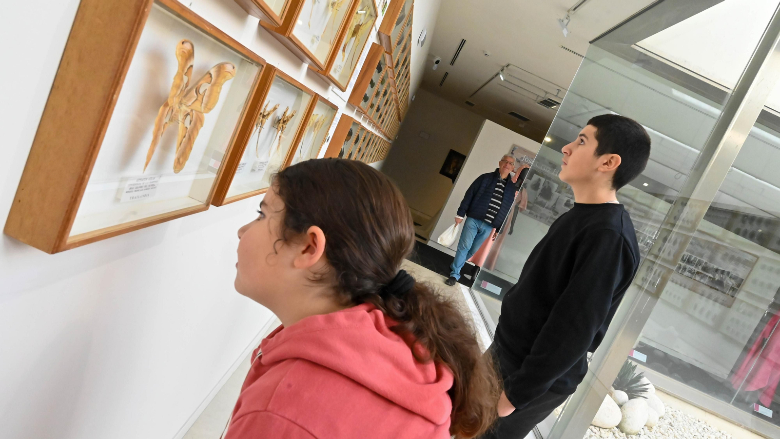 Las fotos de la colección etimologica de Pepe Torres en el Museo Cruz Herrera