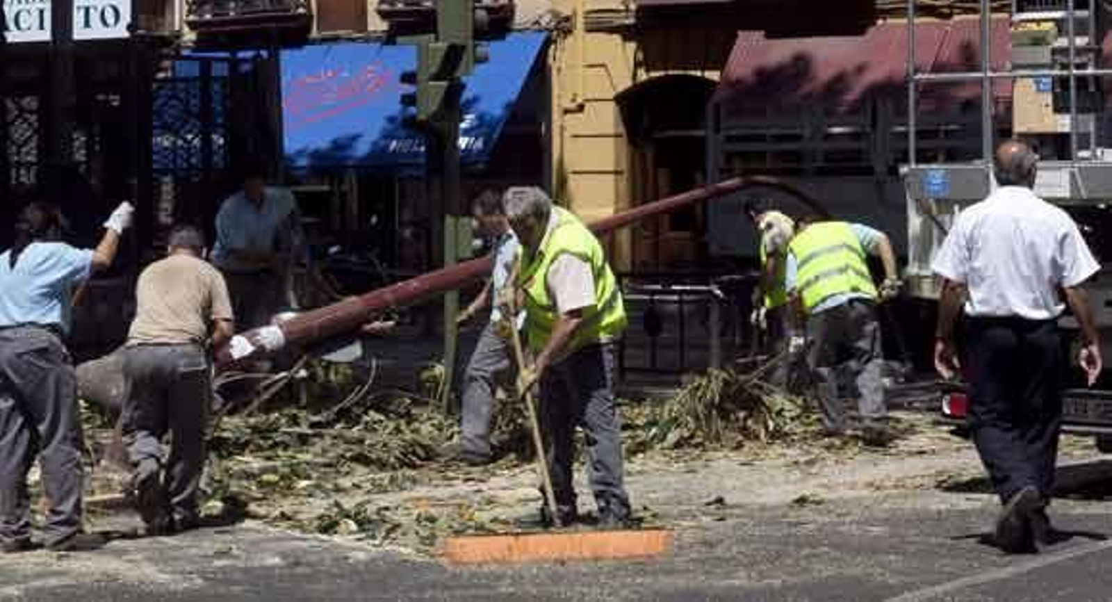 Cortan la calle San Jacinto por la caída de una rama