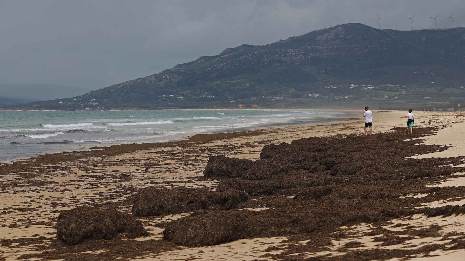 Reapertura de playas en Tarifa