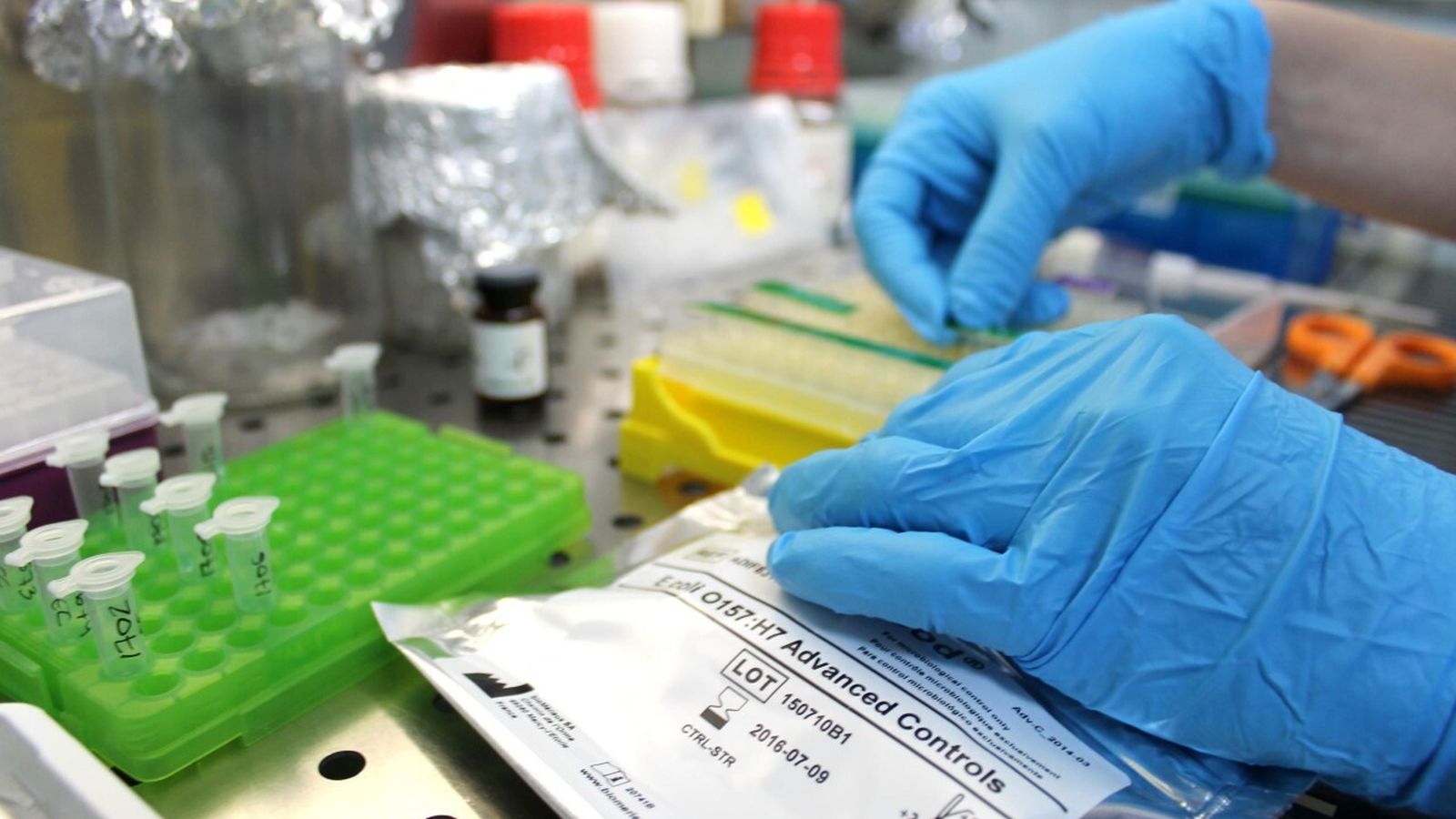 Control de seguridad alimentaria de las frutas y hortalizas de los invernaderos solares de Europa