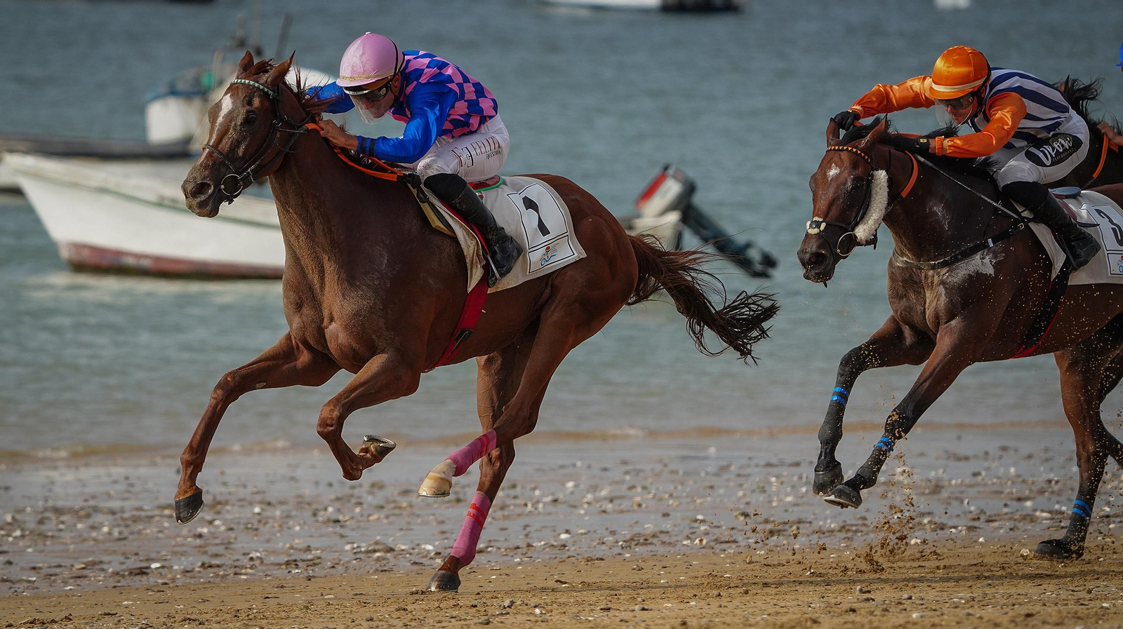 Imágenes de las Carreras de Caballos de Sanlúcar