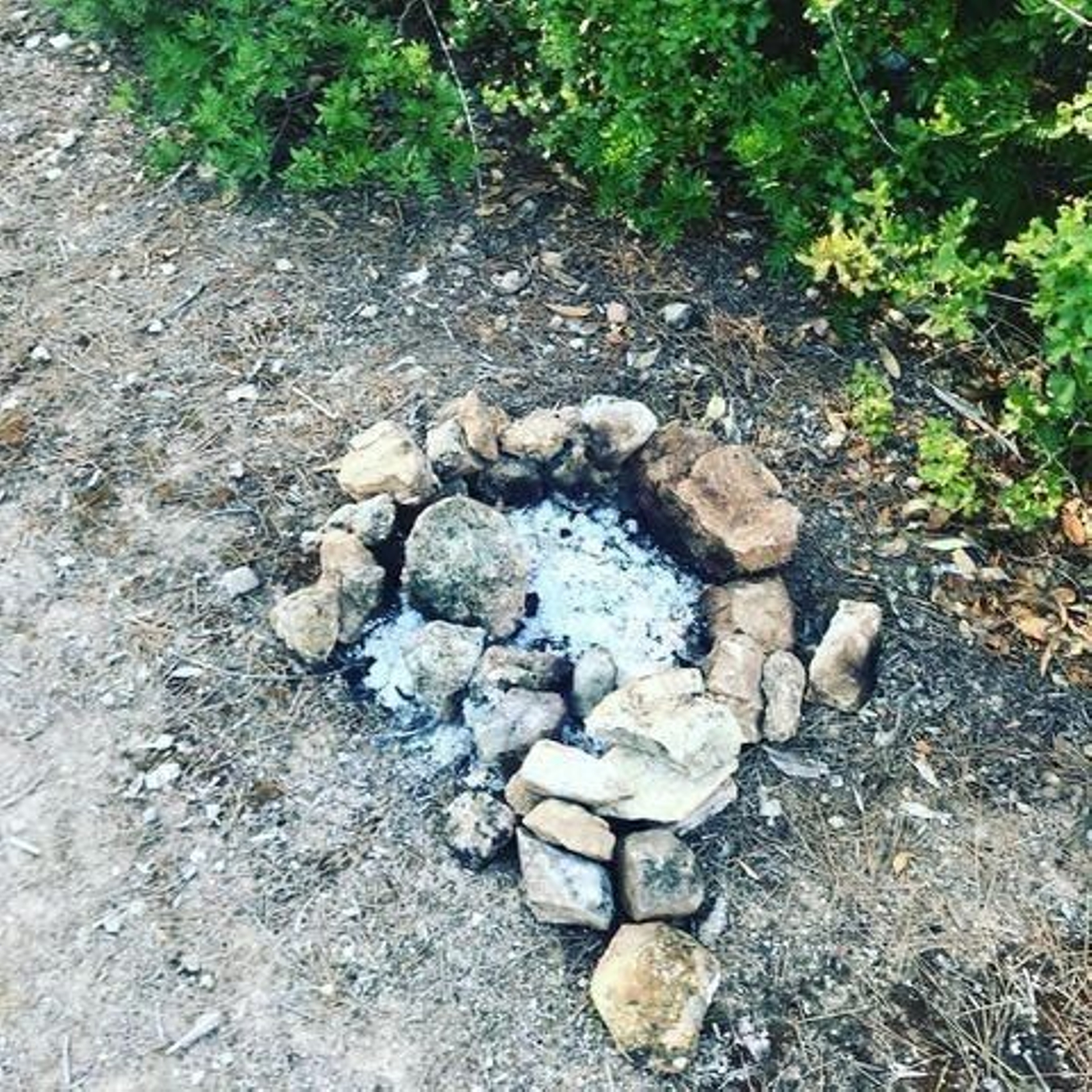 121240751_2782460708743654_7956560525946853341_n