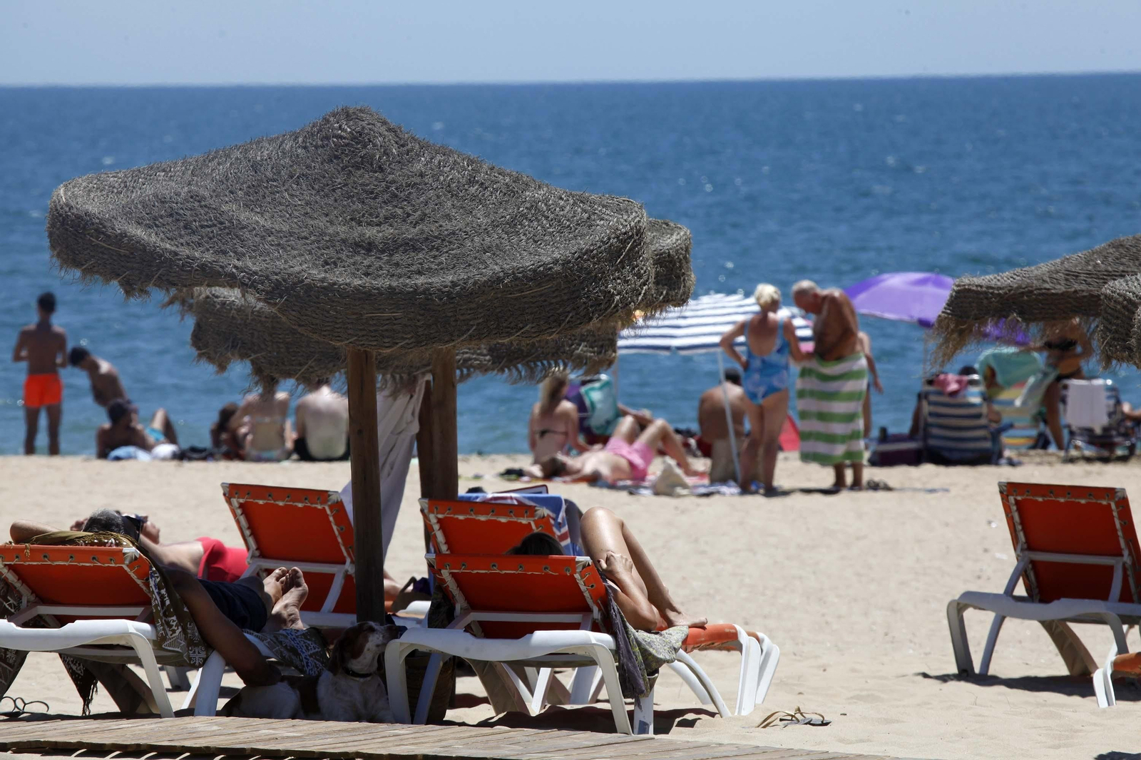 Atravesadas por la Ruta del Camaleón