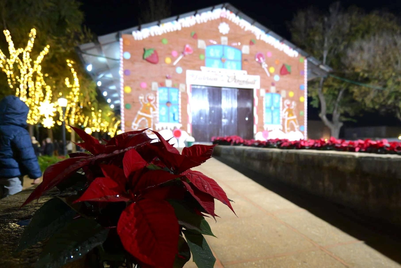 Parque Estación de la Navidad