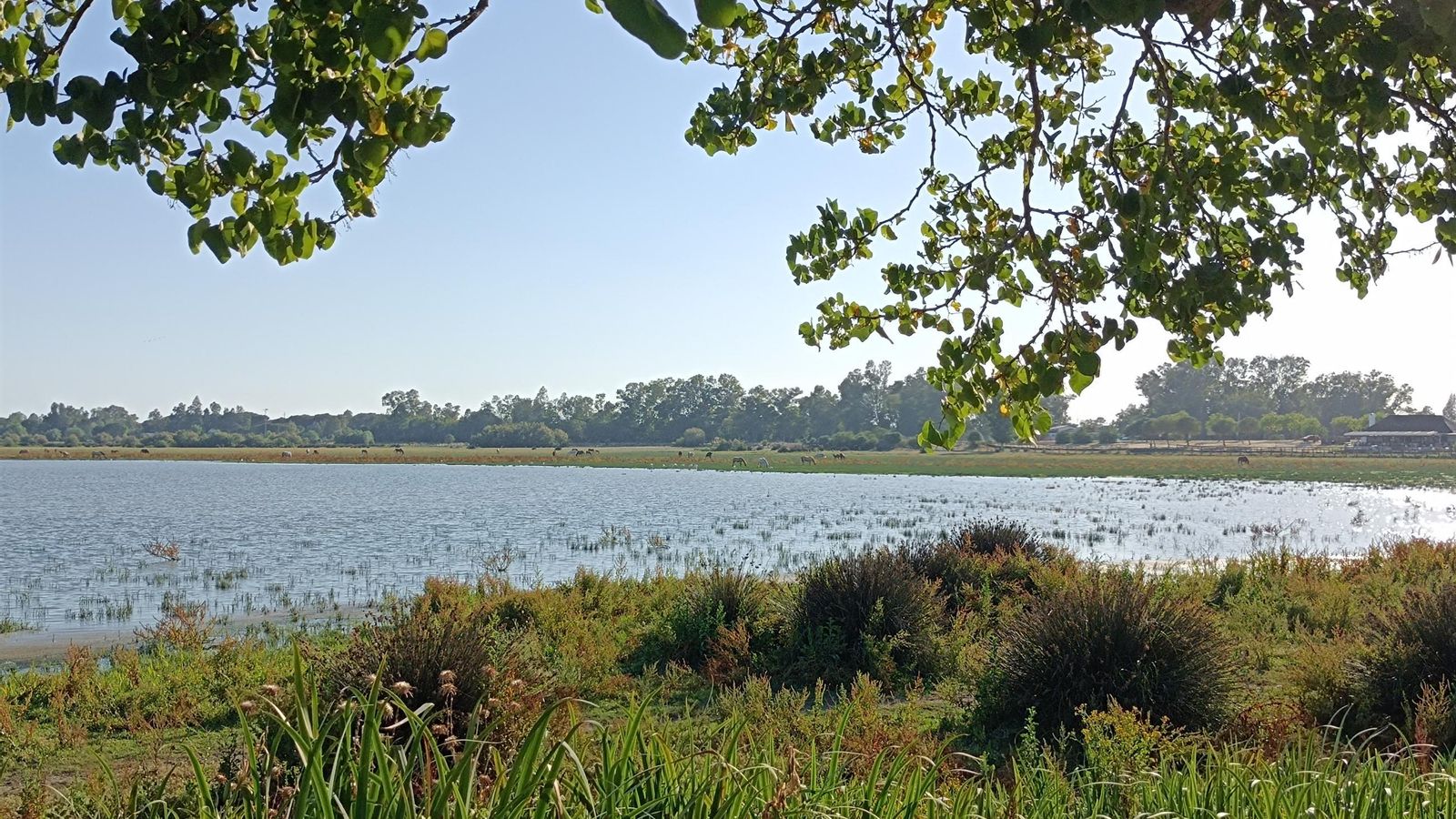 Vistas de Doñana de la aldea de El Rocío.