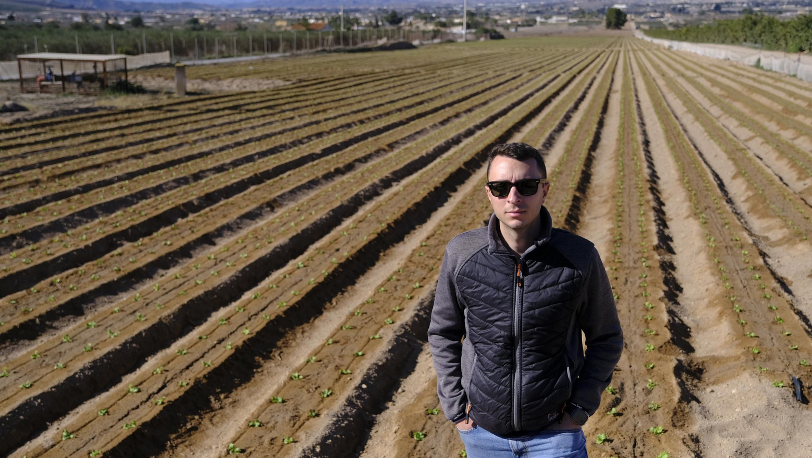 El abandono de cítricos en Huércal Overa, en imágenes