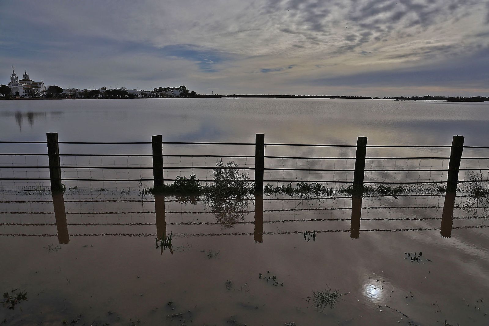 El estado de las marismas del Rocío tras el paso de la borrasca Marta
