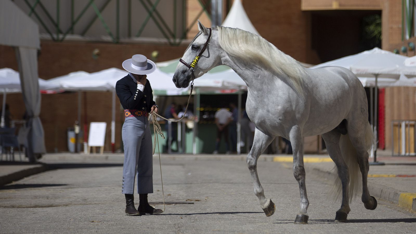 Imágenes de Sicab 2020 en la reanudación de las pruebas en Fibes