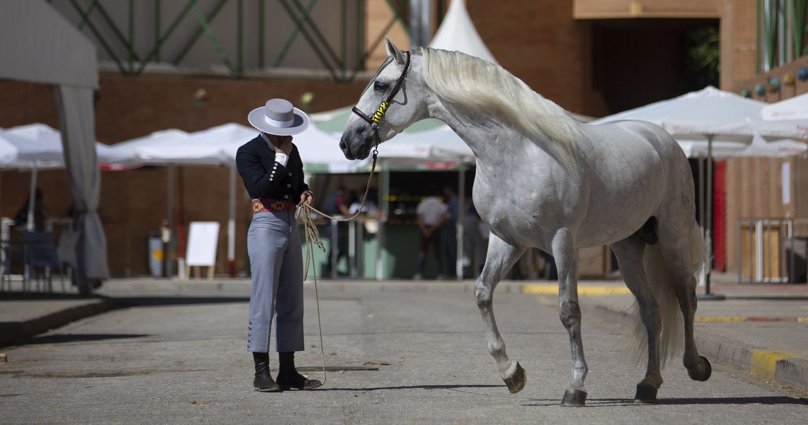 Imágenes de Sicab 2020 en la reanudación de las pruebas en Fibes