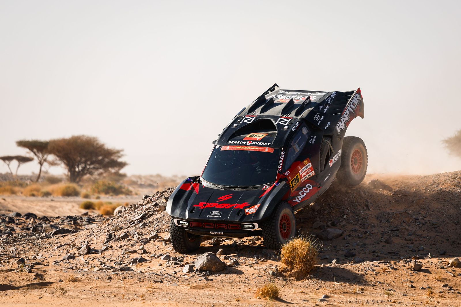 Las mejores fotos del Rally Dakar | Novena etapa