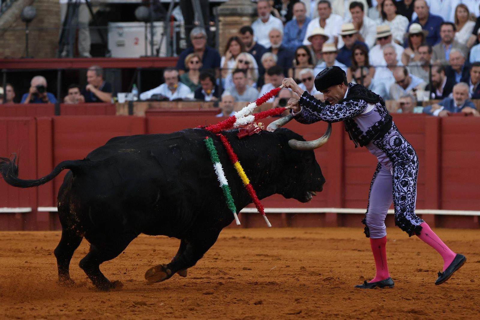 Las imágenes del primer festejo de San Miguel