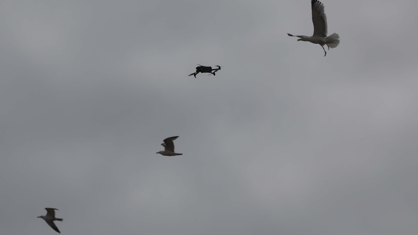 La plantilla de Acerinox celebra una nueva manifestación en Algeciras, en imágenes