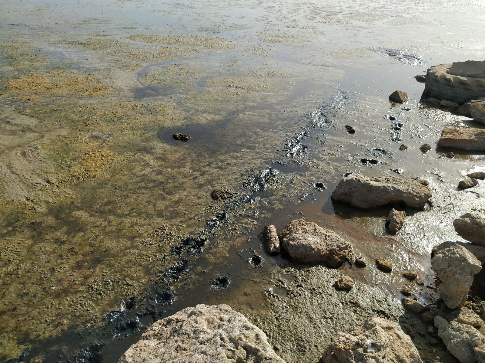 La Laguna de la Mejorada se seca