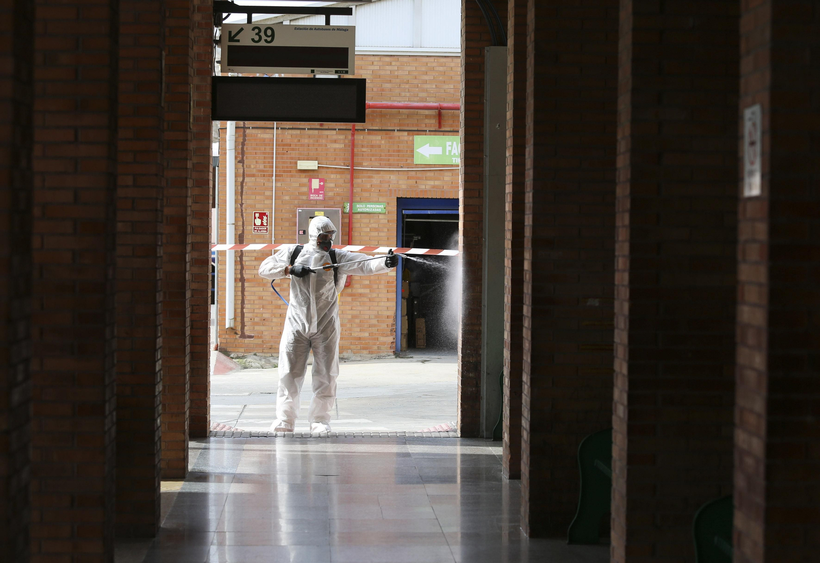 La UME desinfecta en Málaga la estación de autobuses y el puerto, en fotos