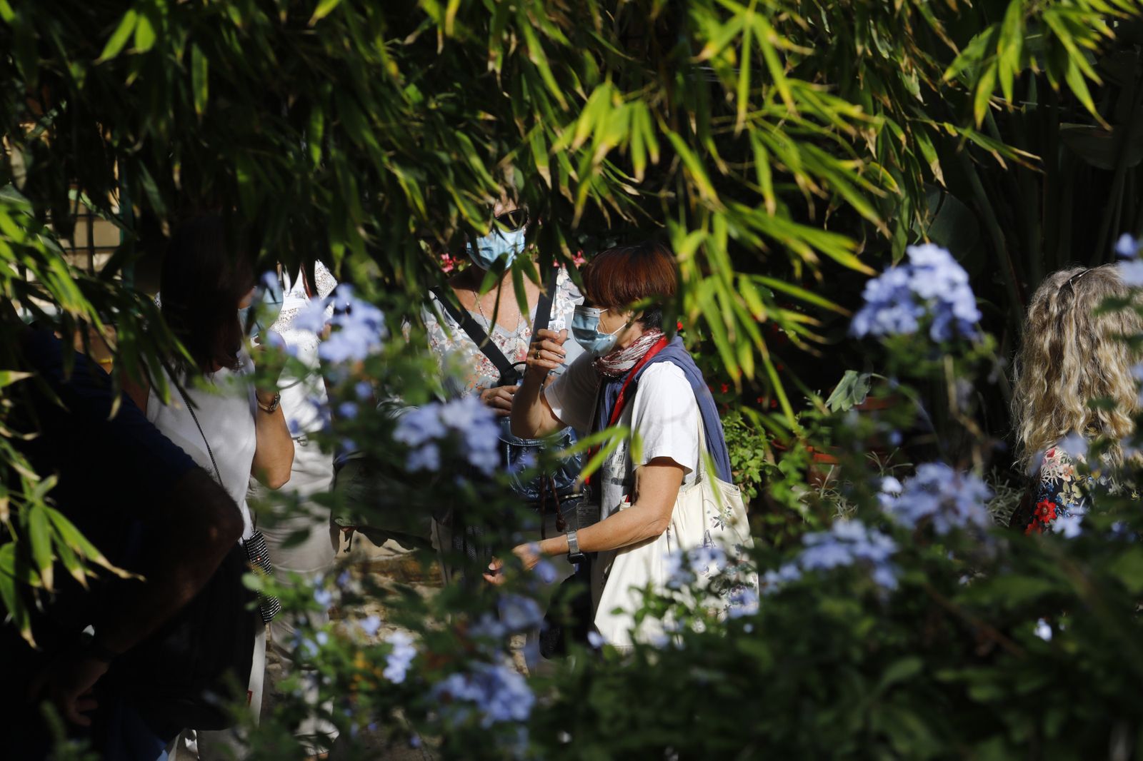 Un recorrido en fotografías por los Patios de Córdoba un domingo de otoño