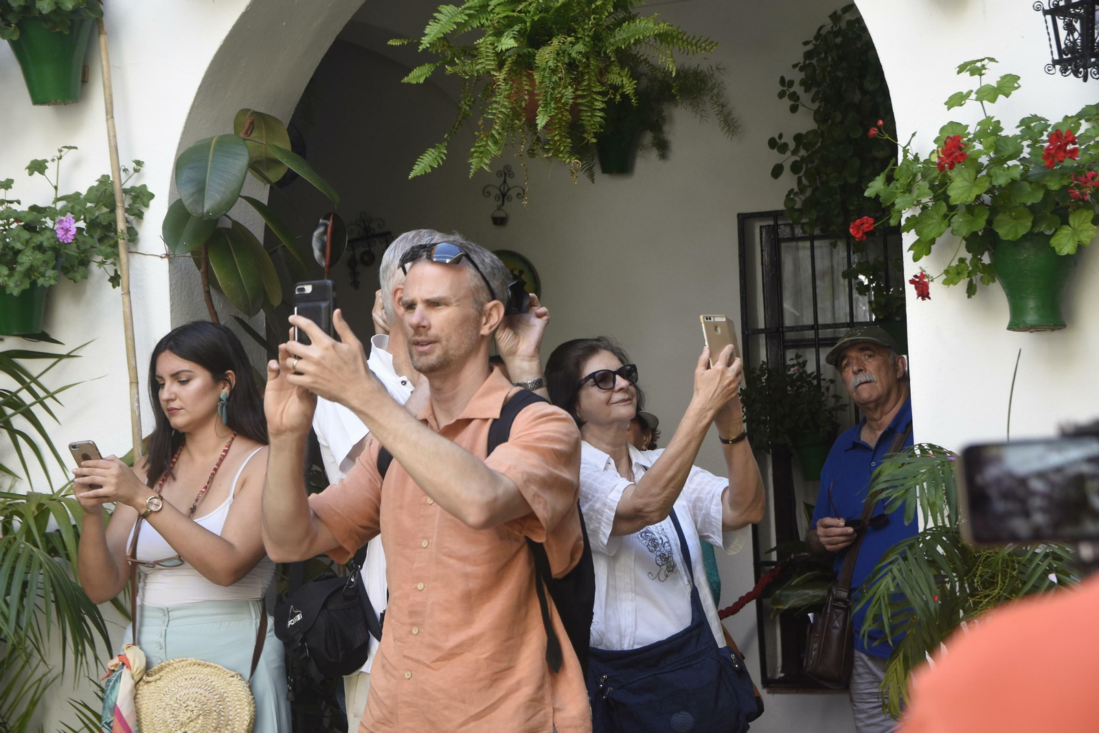En imágenes: la ruta de los Patios del Alcázar Viejo