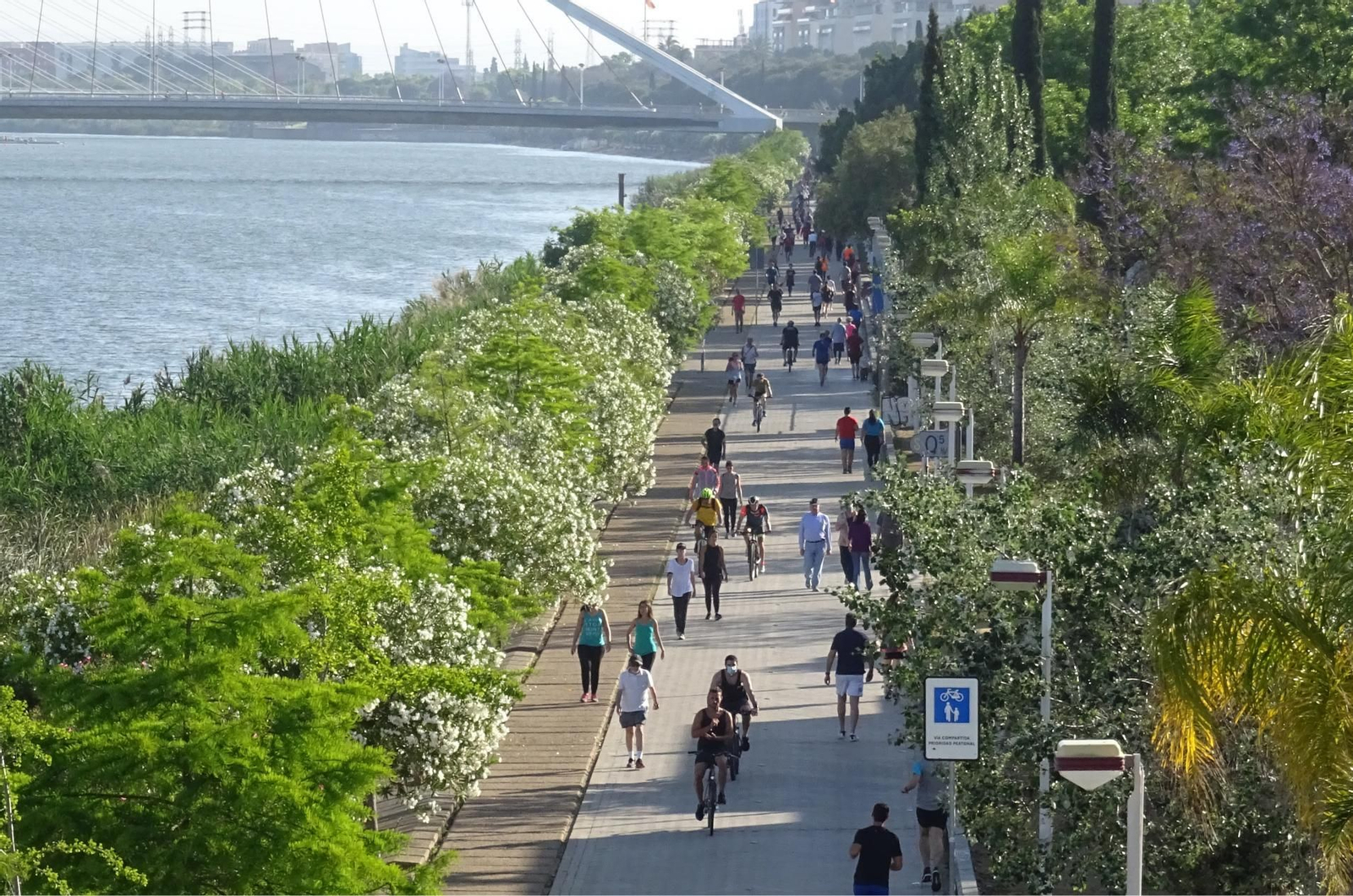 Cinco años del confinamiento por el Covid: las mejores fotos de la pandemia en Sevilla