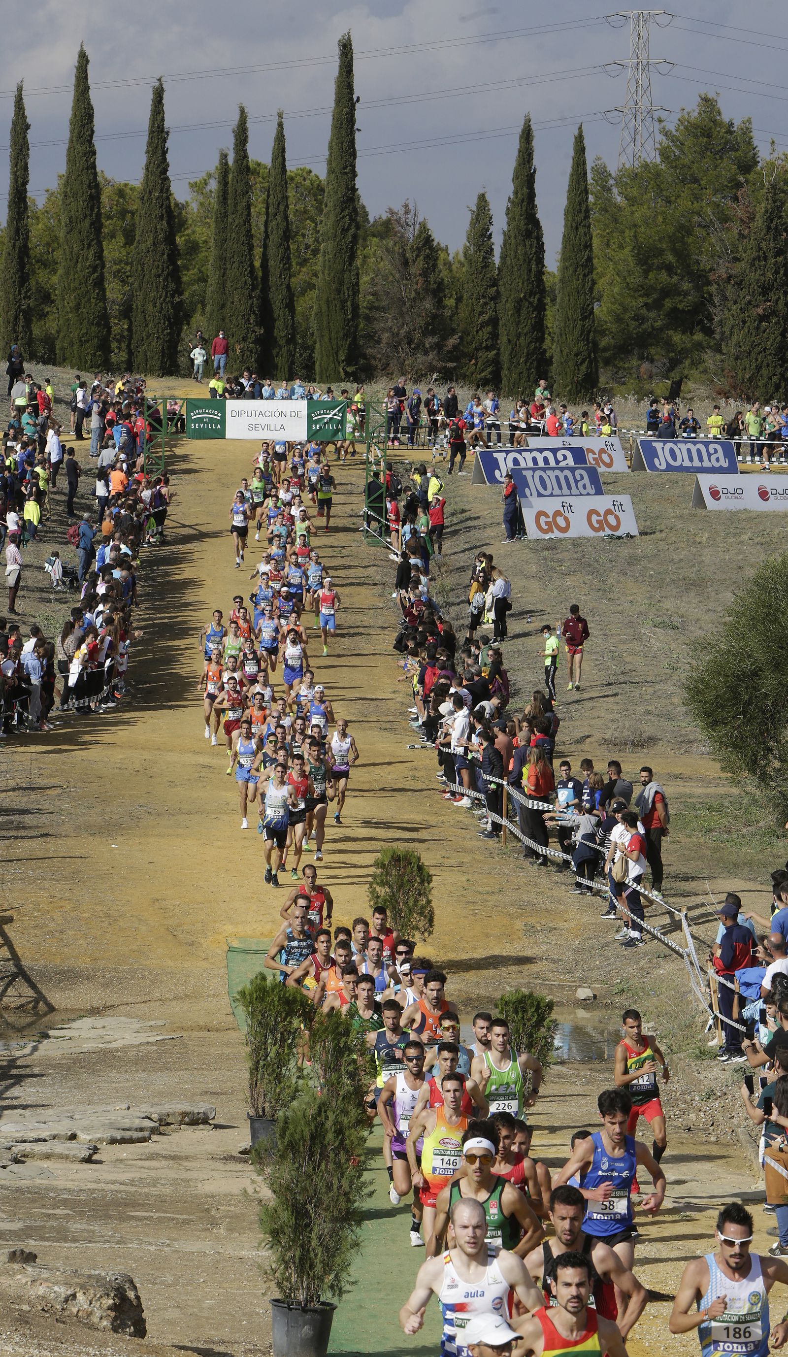 CROSS ITALICA