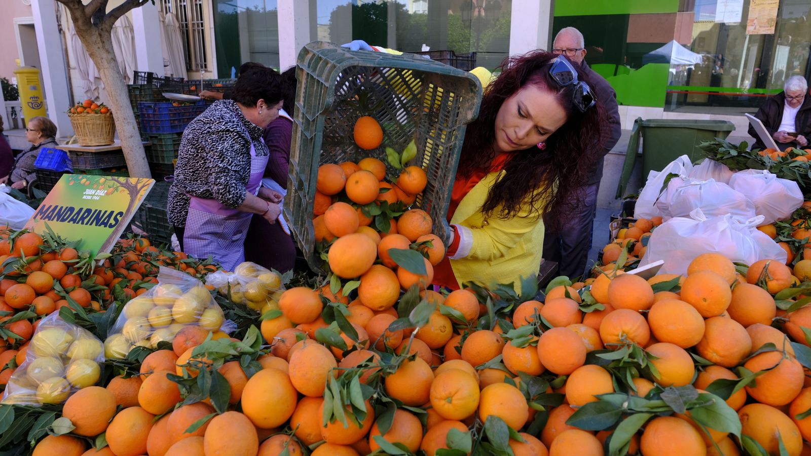 Naranjas y más naranjas en su día.