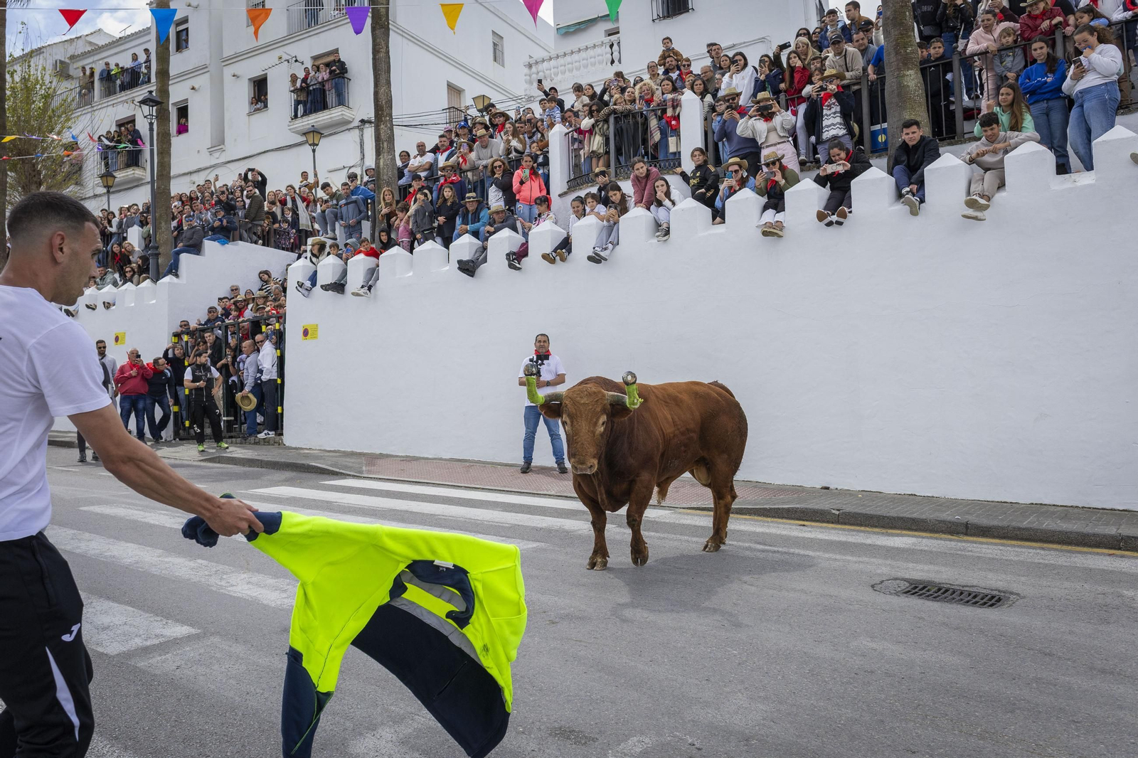 Las imágenes del Toro Embolao de Vejer 2025