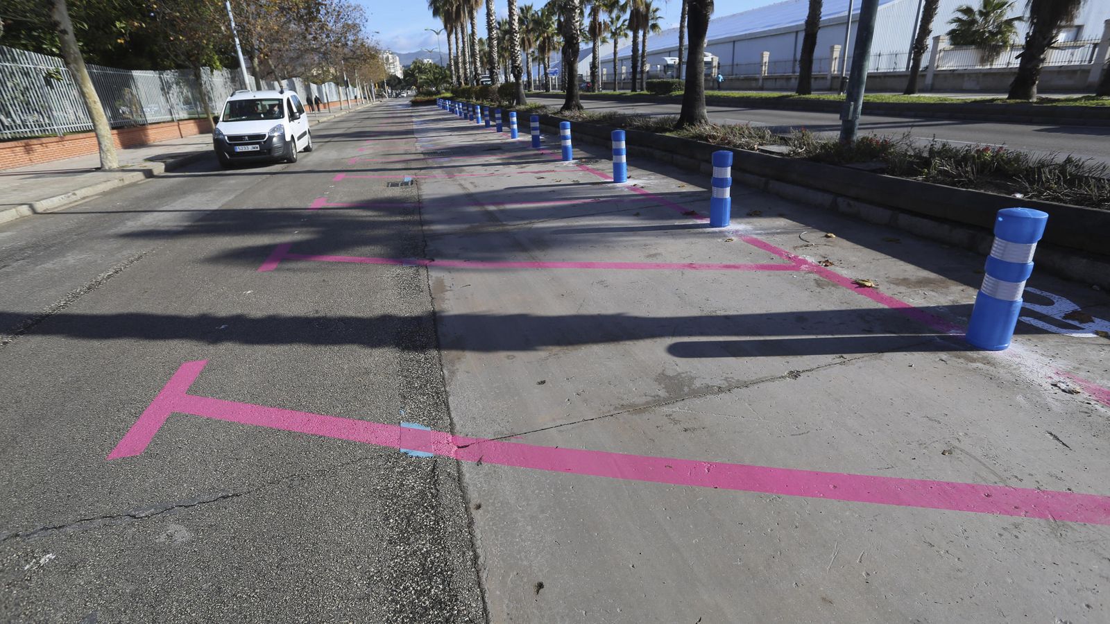 Plazas pintadas de rosa para comerciantes en el Paseo Antonio Machado.