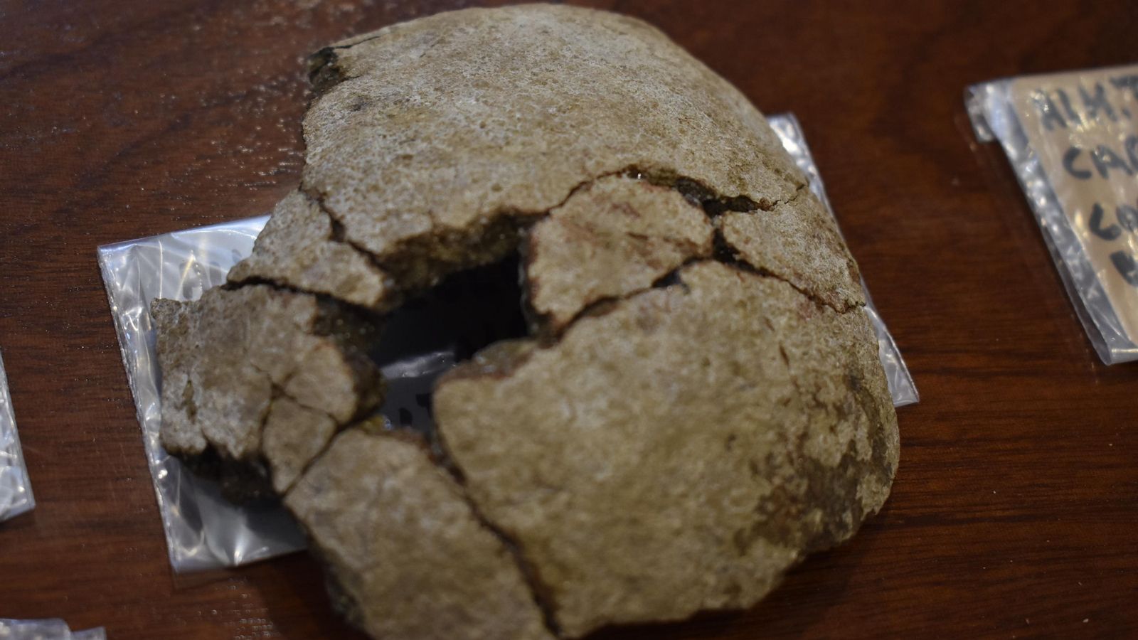 Uno de los restos recuperados del yacimiento Los Caracolillos.