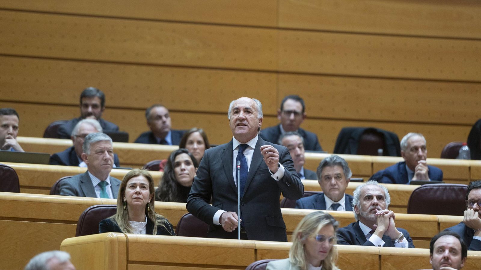 José Ignacio Landaluce, en el Senado.