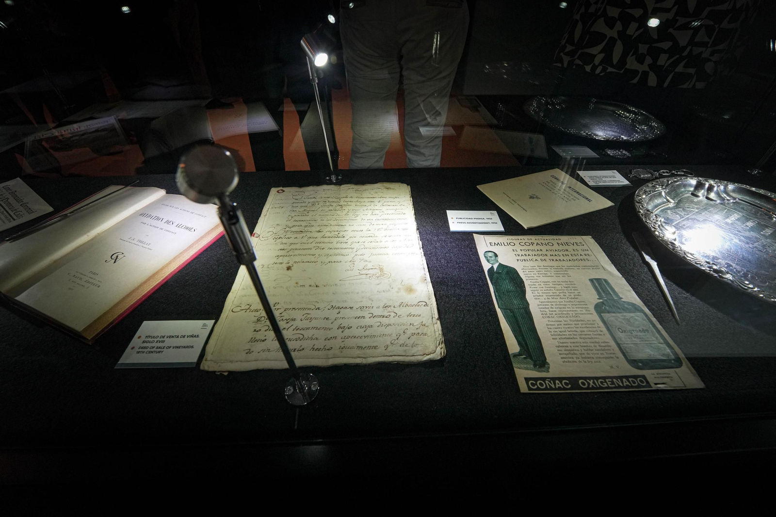 Así es el nuevo Palacio San Dionisio de Jerez