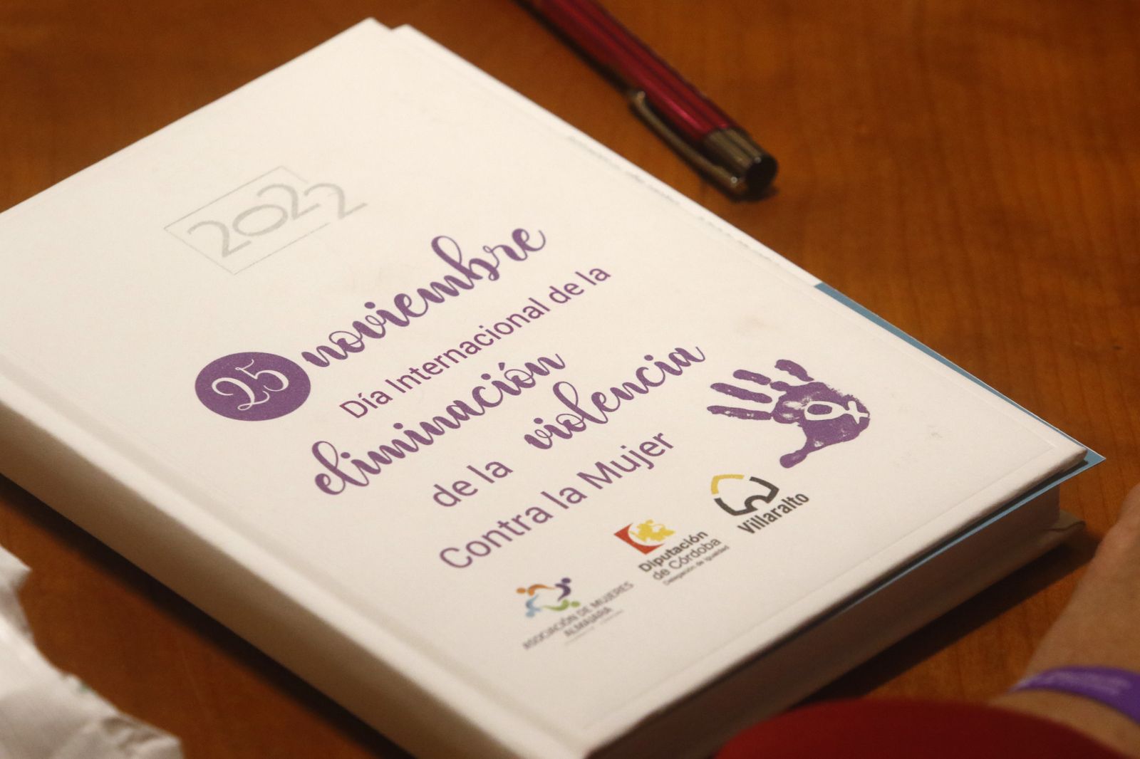 El 25 de noviembre es el Día Internacional de la Eliminación de la Violencia contra la Mujer.