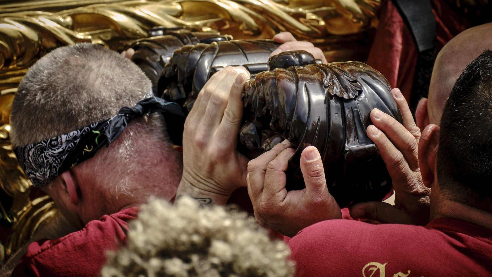 Cofradía de La Borriquita. Semana Santa de Cádiz 2022
