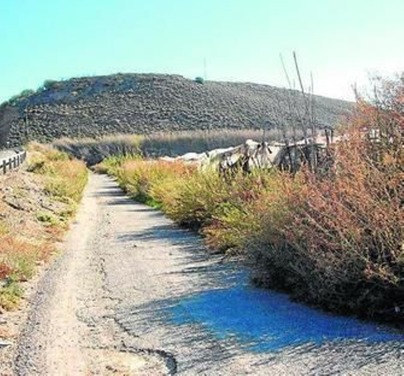 Camino rural en Adra.