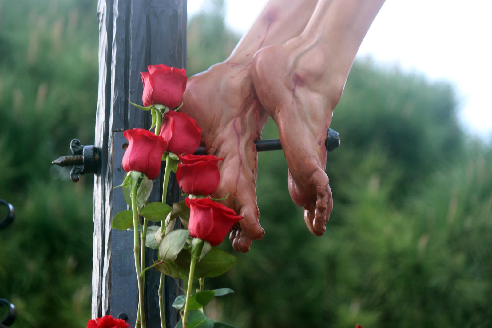 Amor y Esperanza del Río San Pedro