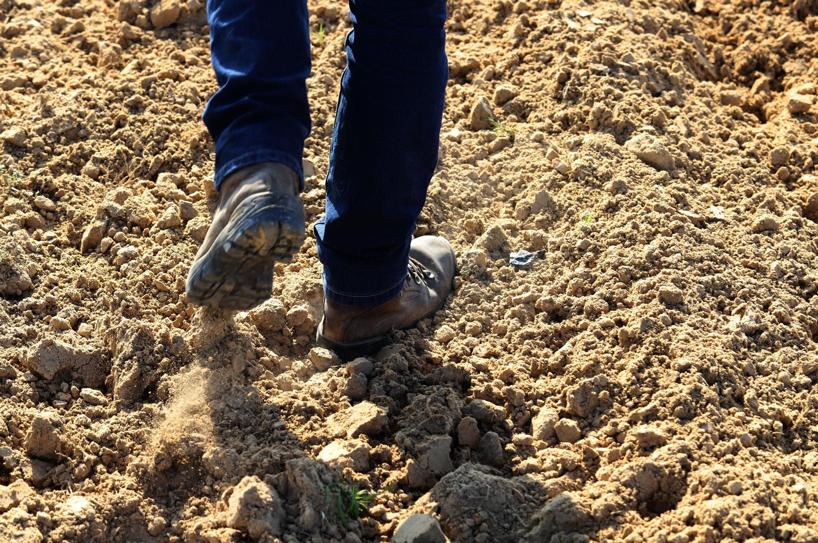 Imágenes de la realidad del trabajo en el campo