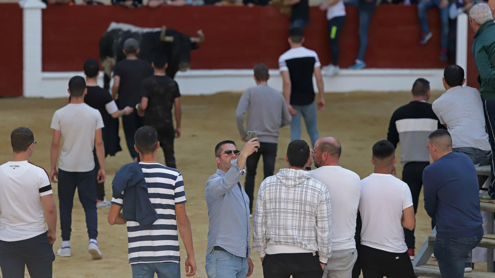 Toro de la Víspera en Los Barrios